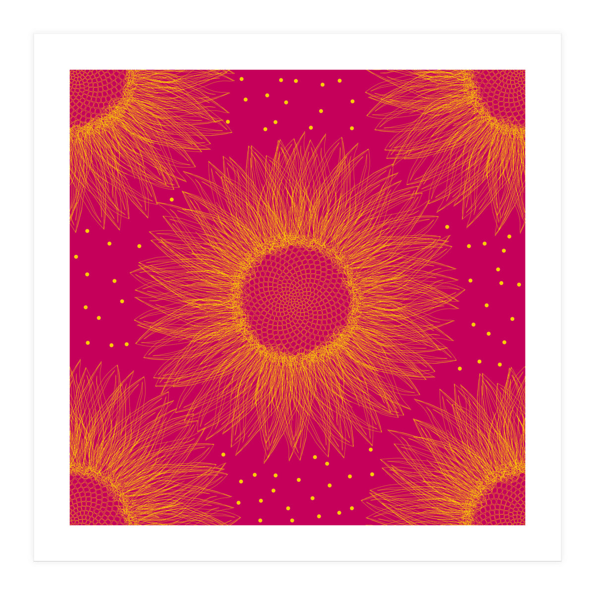 Sunflower (Print Only)