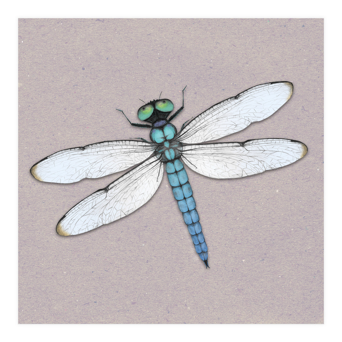 Blue dragonfly (Print Only)