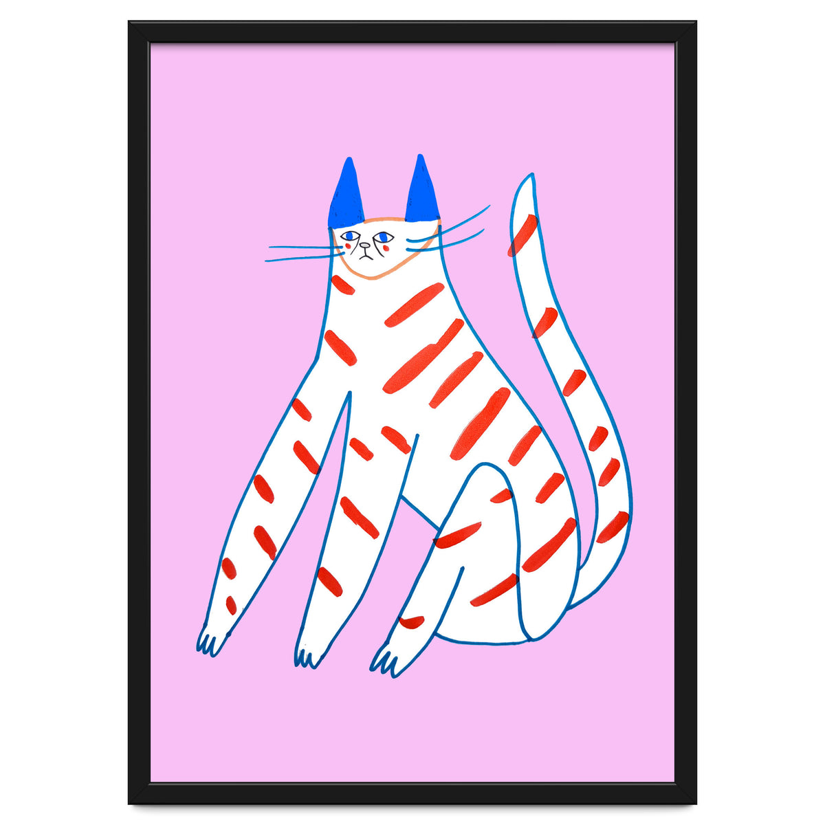Stripey Cat