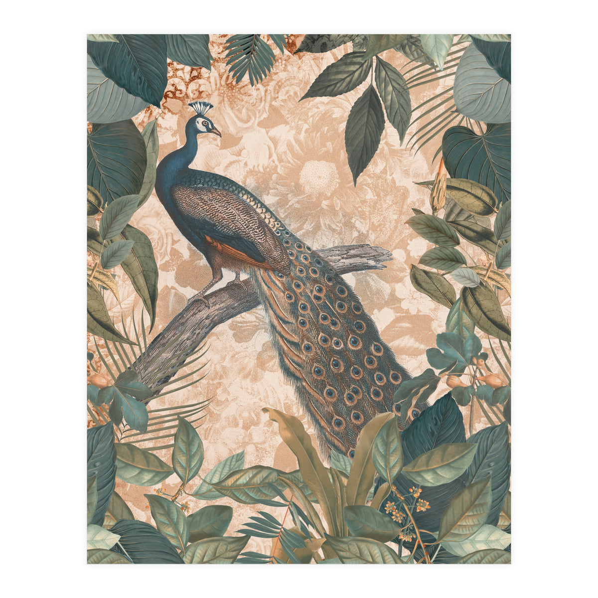 Vintage Peacock (Print Only)
