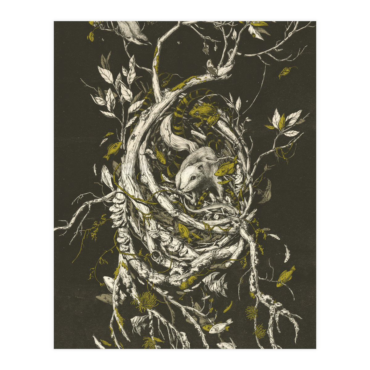 The Mangrove Tree (Print Only)