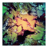 Bathe (Print Only) thumbnail