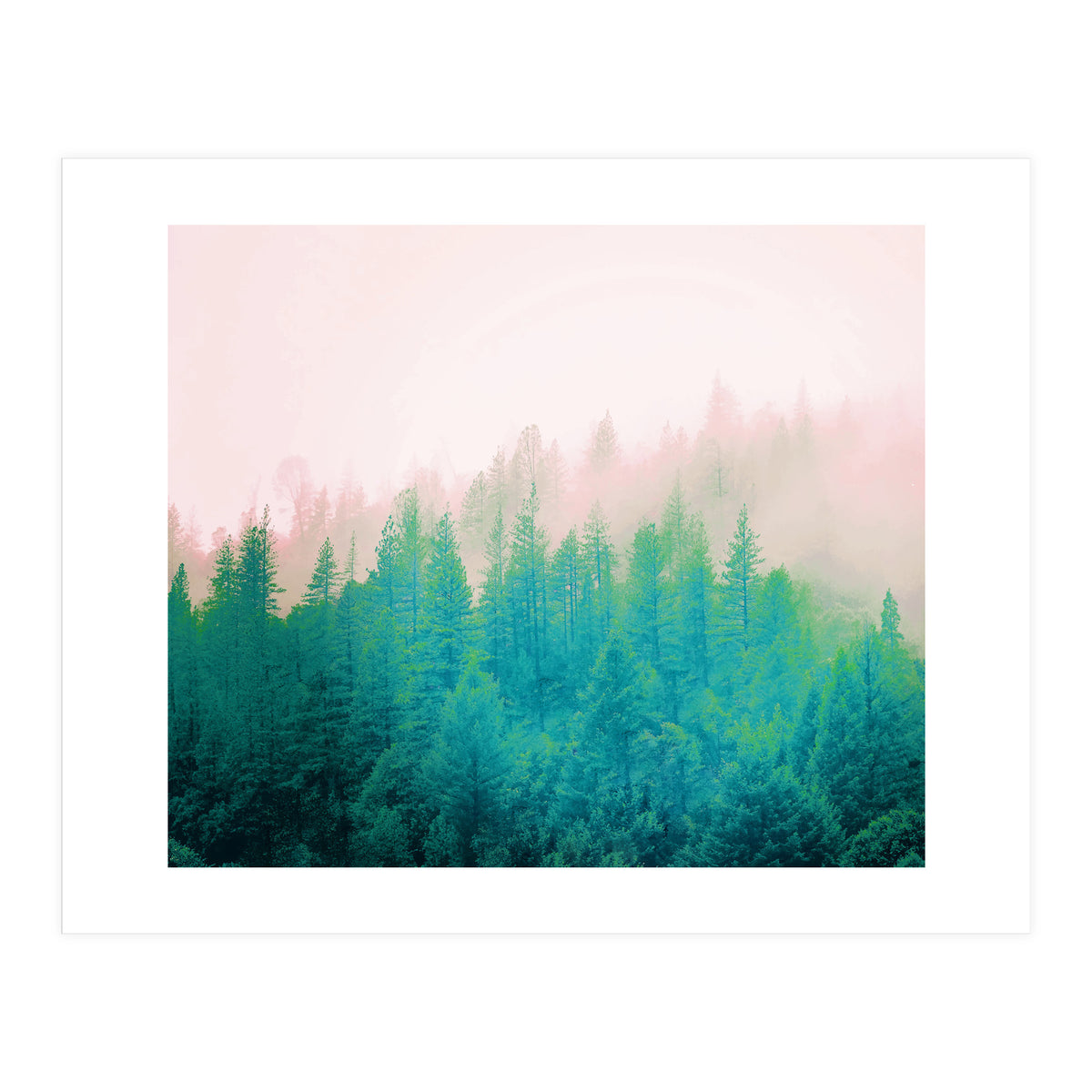 Forest Fog V2 (Print Only)