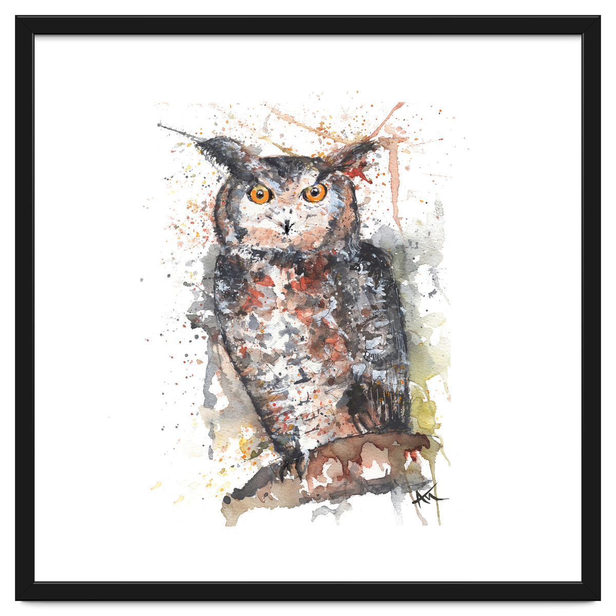 Owl - Wildlife Collection