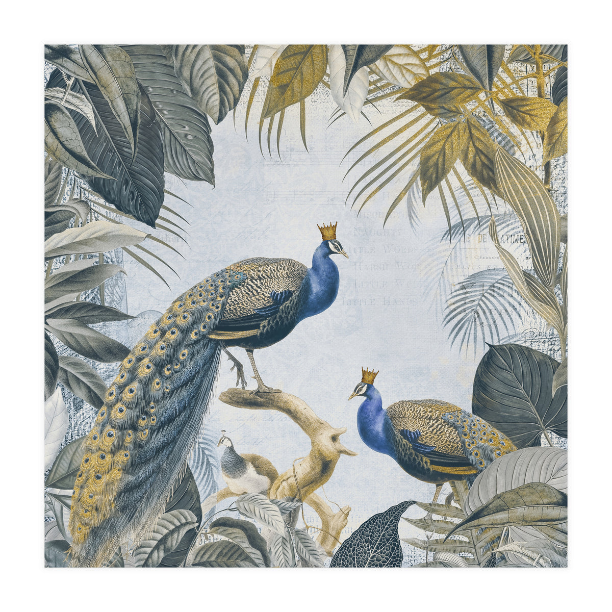 Fantastic Peacock Kings Gold Look (Print Only)