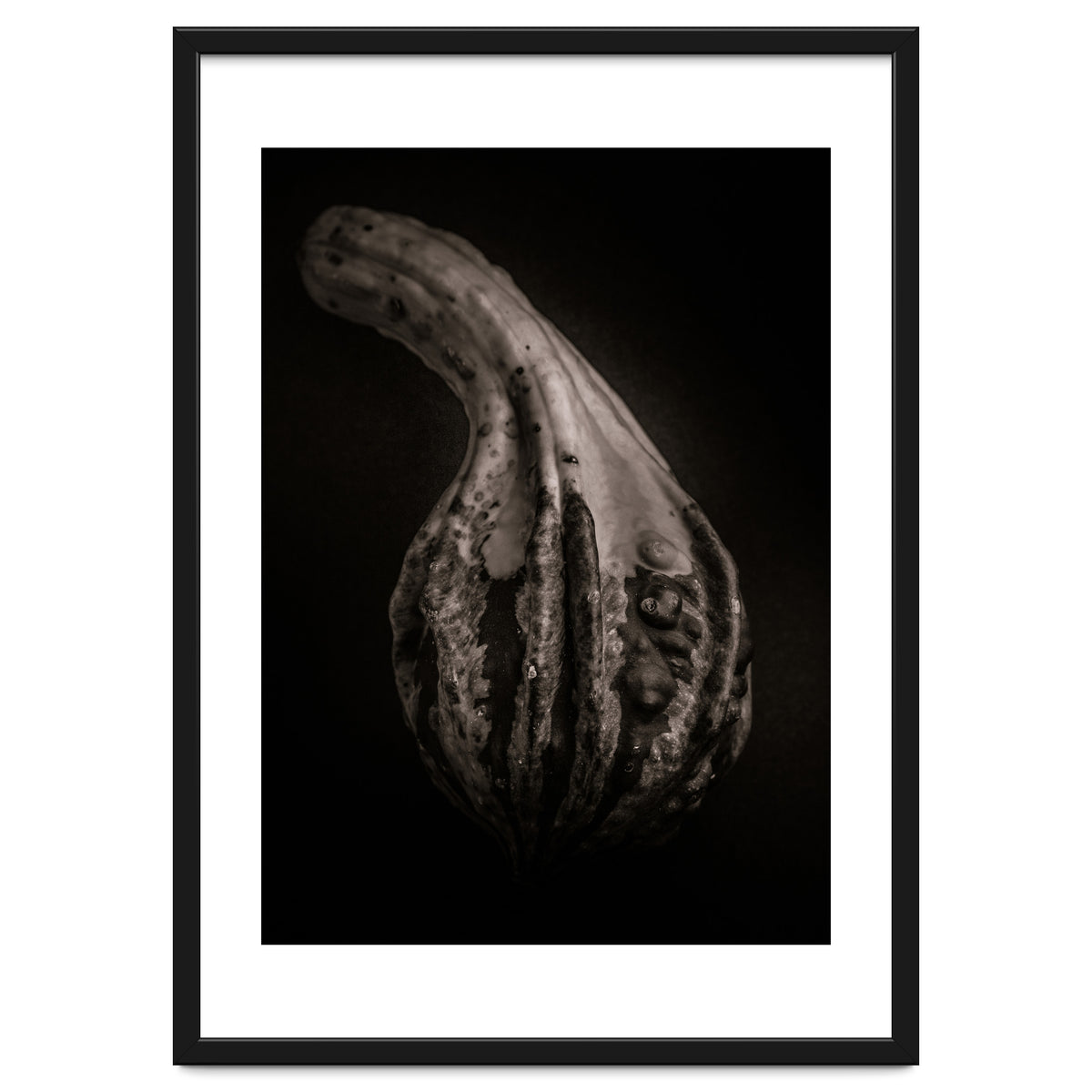 Gourds No 2