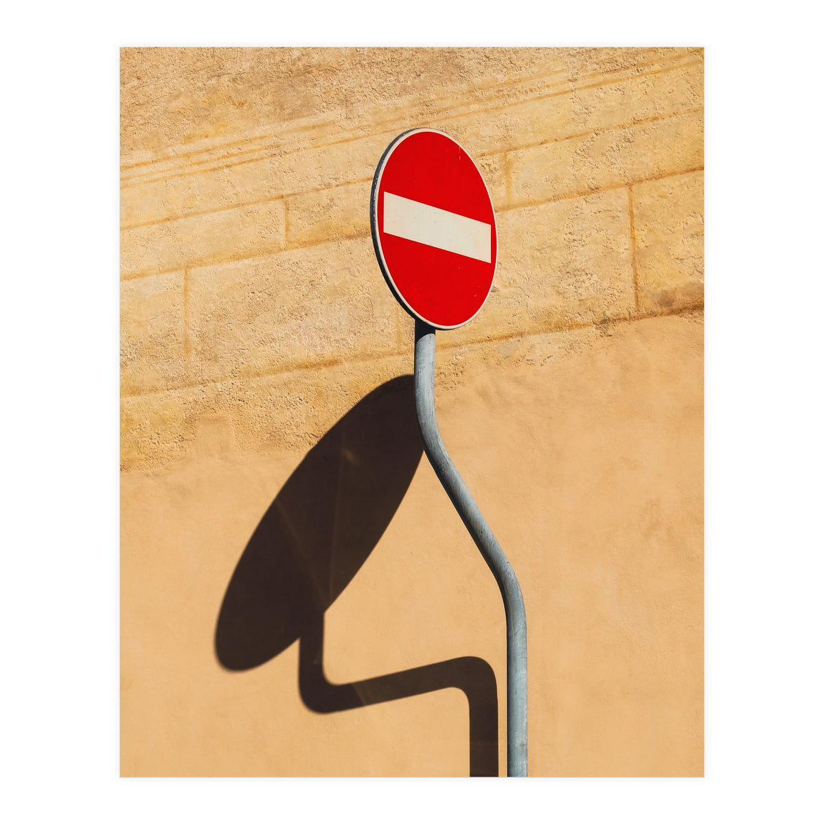 Snake on wall (Print Only)