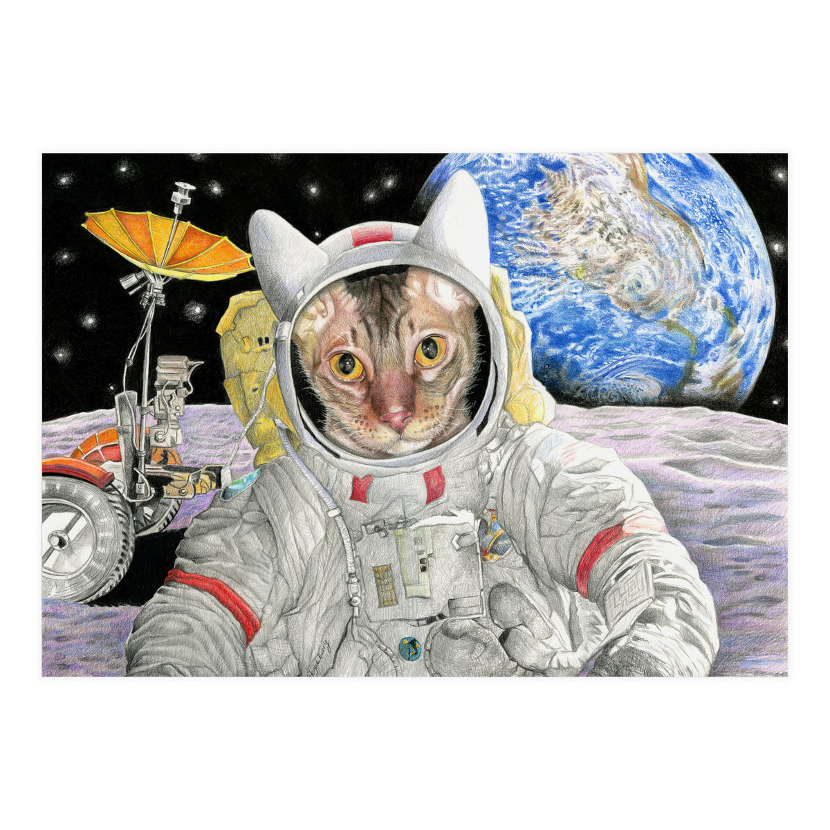 Nasacatadjustcolor (Print Only)