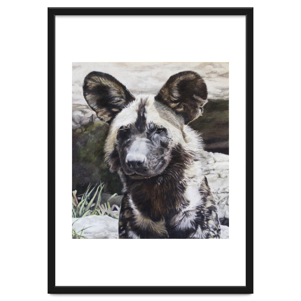 African Painted Dog II