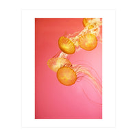 Jelly #3  (Print Only)