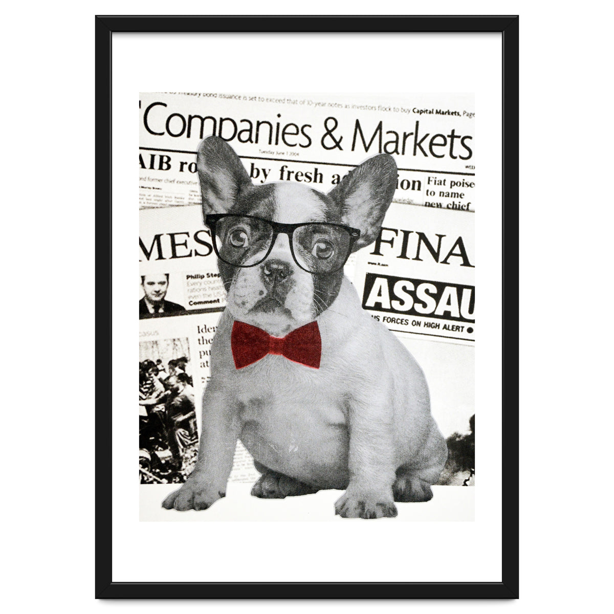 The Dog Of Wall Street