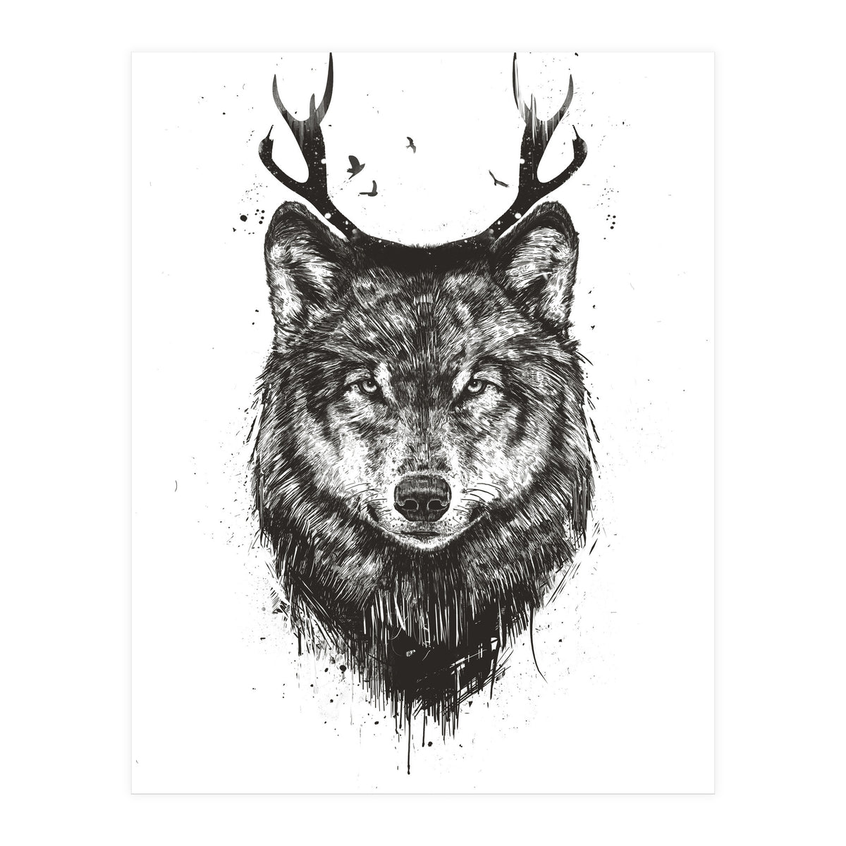 Deer Wolf Bw (Print Only)