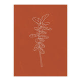 Line Art Botanical Terracotta (Print Only) thumbnail