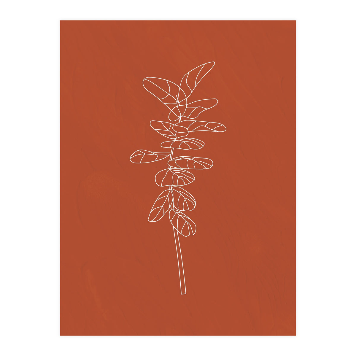 Line Art Botanical Terracotta (Print Only)