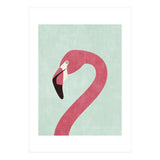 FAUNA / Flamingo (Print Only) thumbnail