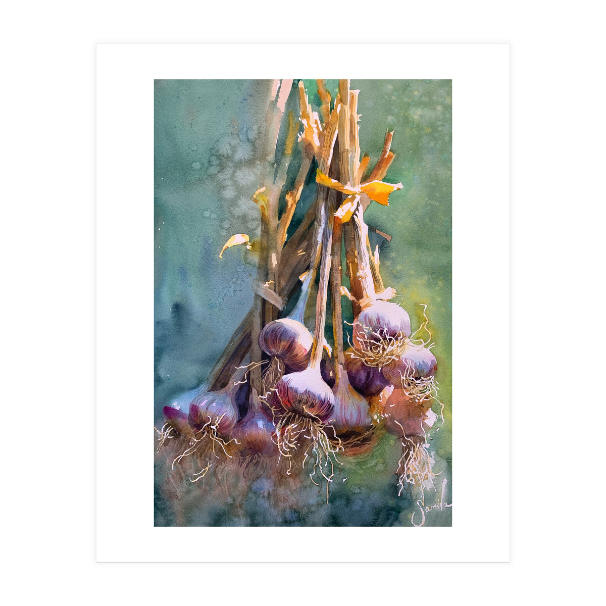 Still Life Garlic (Print Only)