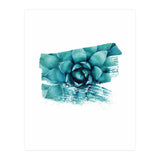 Modern Succulent II (Print Only) thumbnail