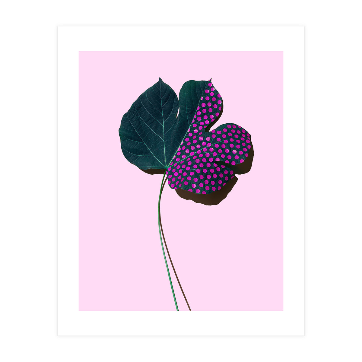 foglia (Print Only)