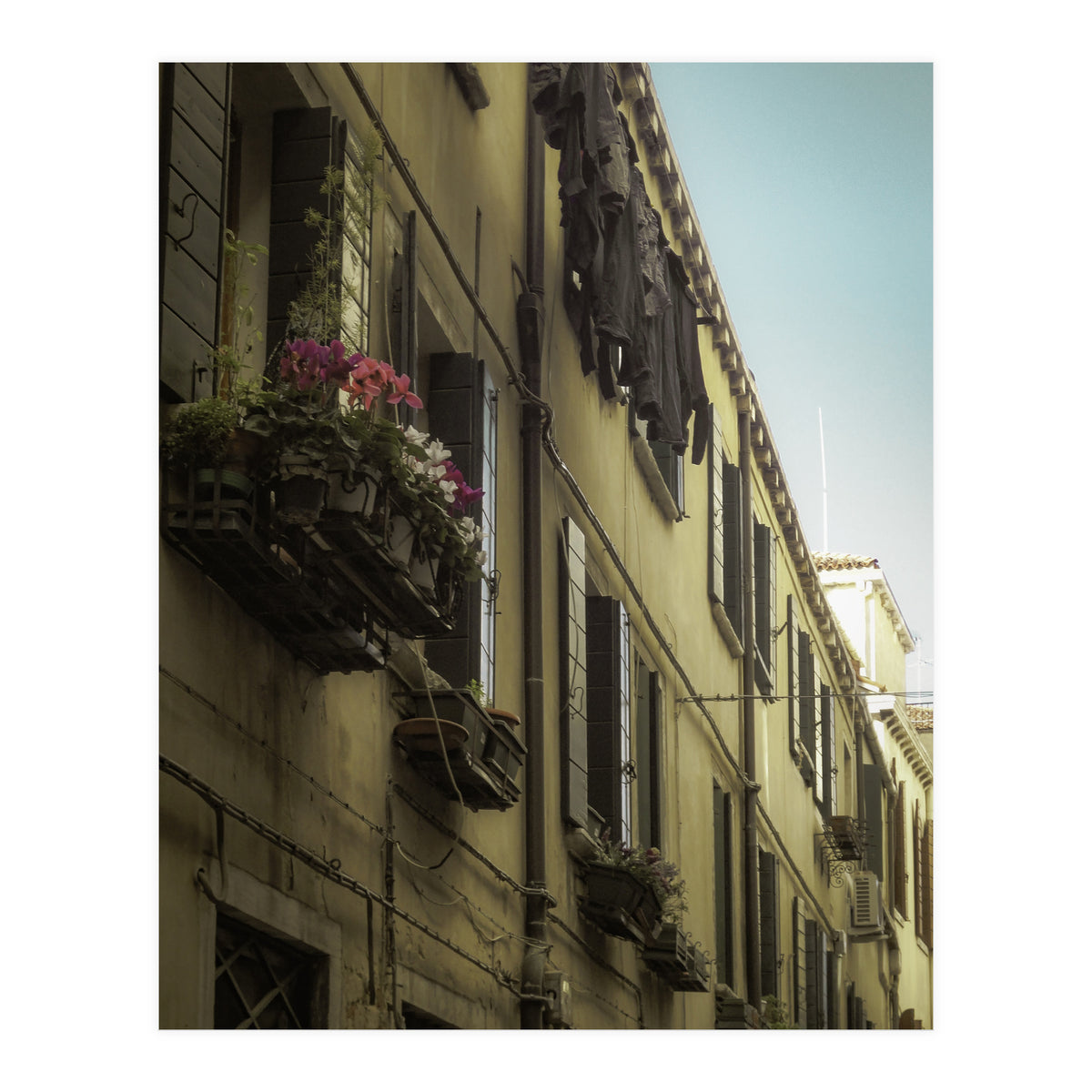 Windows From Tuscany 1 (Print Only)