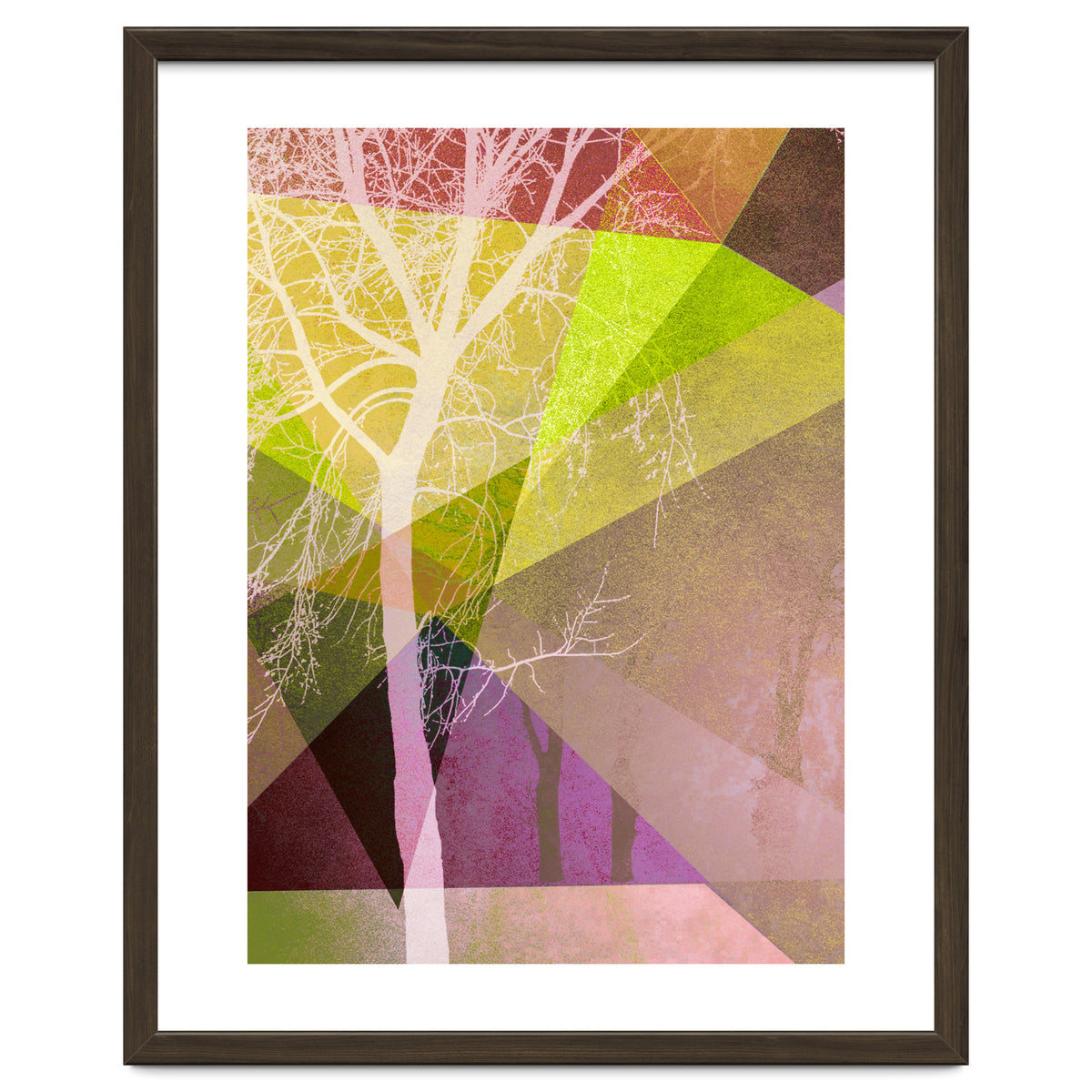 P22 Trees And Triangles