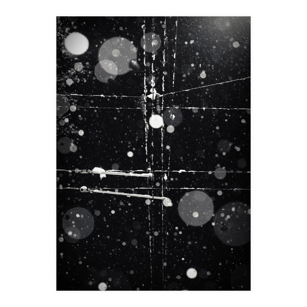 chaos theory (Print Only)