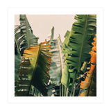 Shades Of Summer (Print Only) thumbnail