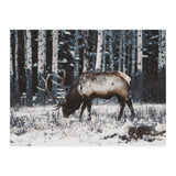 animal print (Print Only) thumbnail