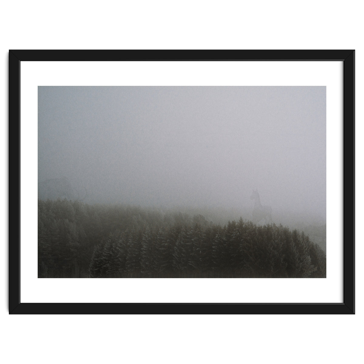 What the Hell did I just See?