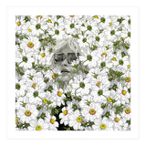 May The Days Be Aimless (Print Only) thumbnail