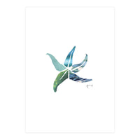 Starfish (Print Only)