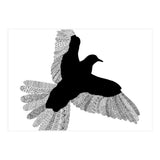 Bird White (Print Only) thumbnail