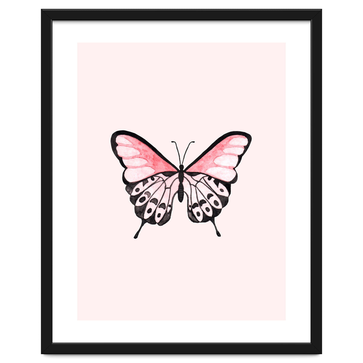Pink Butterfly