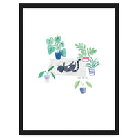 Black Cat And House Plants