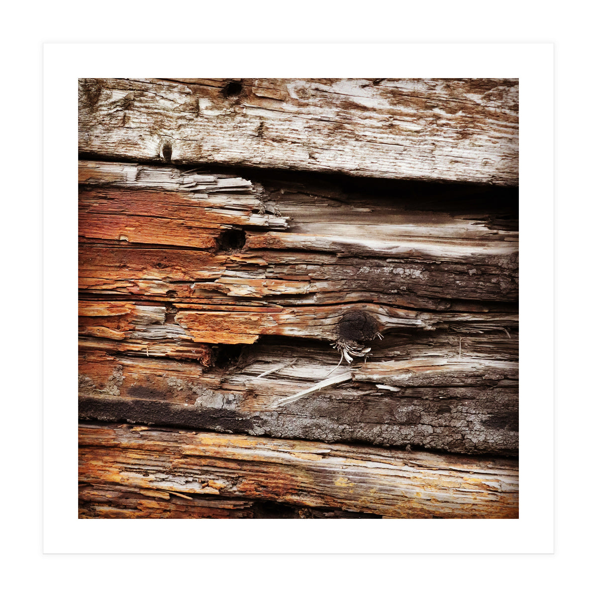 weather worn wood (Print Only)