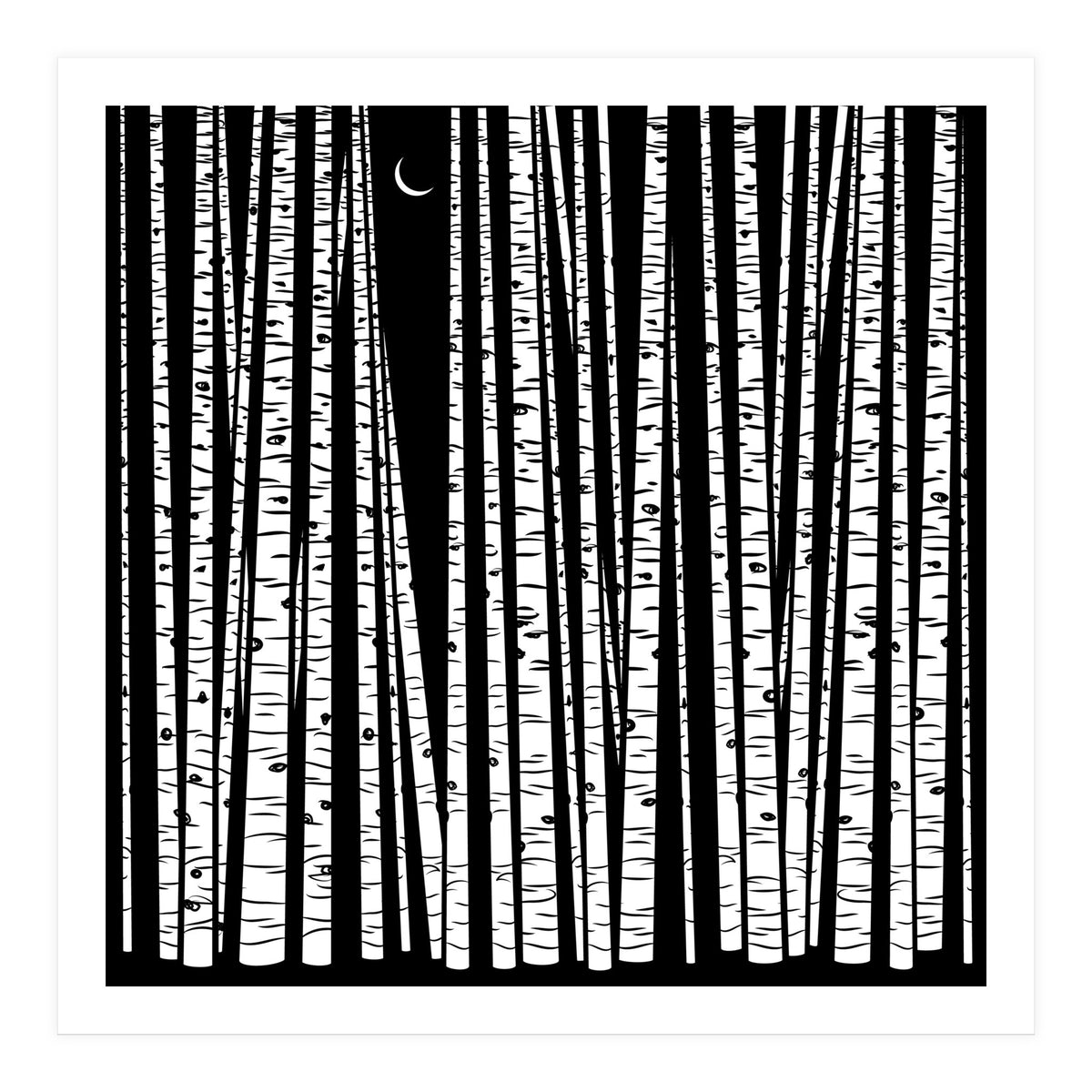 See the Forest... (Print Only)