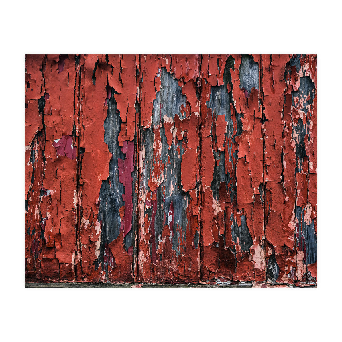Flaking paint (Print Only)