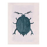 Beetle 2 (Print Only) thumbnail