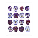 A Watercolour Study Of Violas (Print Only) thumbnail