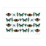 Spring Butterflies (Print Only) thumbnail