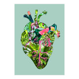 My Botanical Heart (Print Only) thumbnail