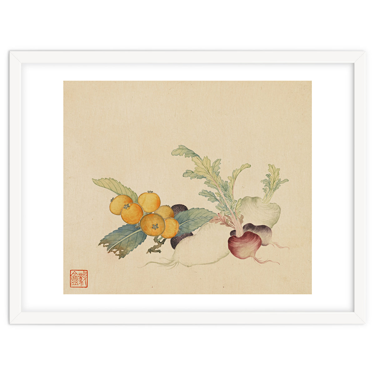 Wang Chengpi~flowers And Vegetables, Vegetables, Fruits, Loquat, White Radish, Carrot, Radish