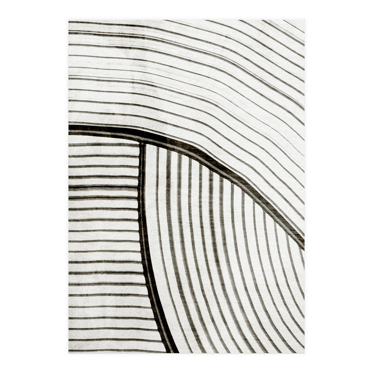 Frequencia4  (Print Only)