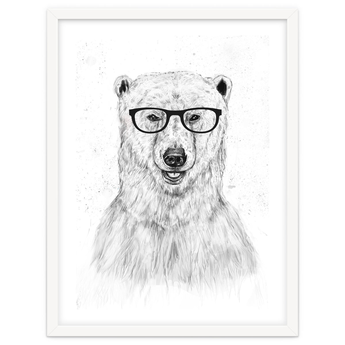 Geek Bear