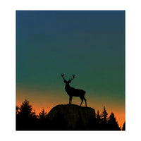 Wild Nature - Dusk (Print Only)
