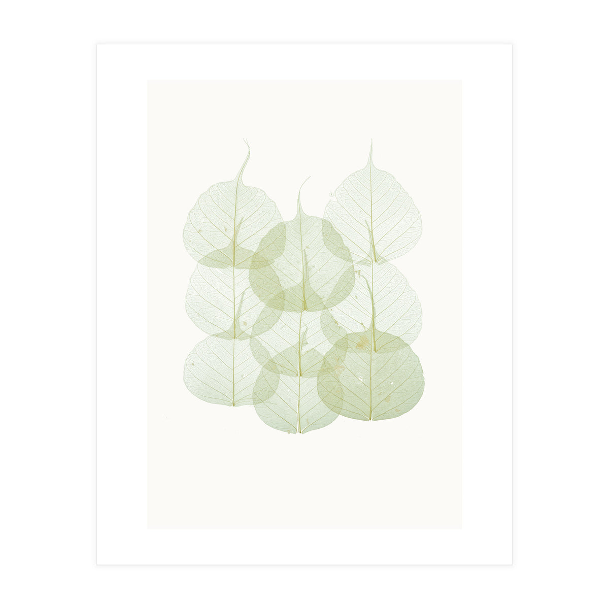 Cc Leaves 02 (Print Only)