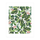 Fig Garden (Print Only) thumbnail