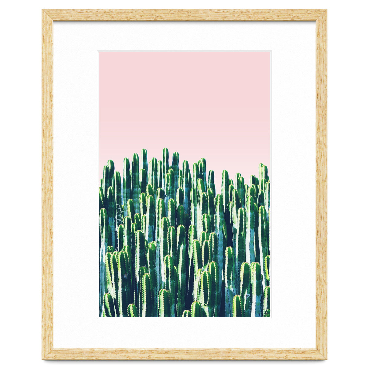 Cactus & Sunset II