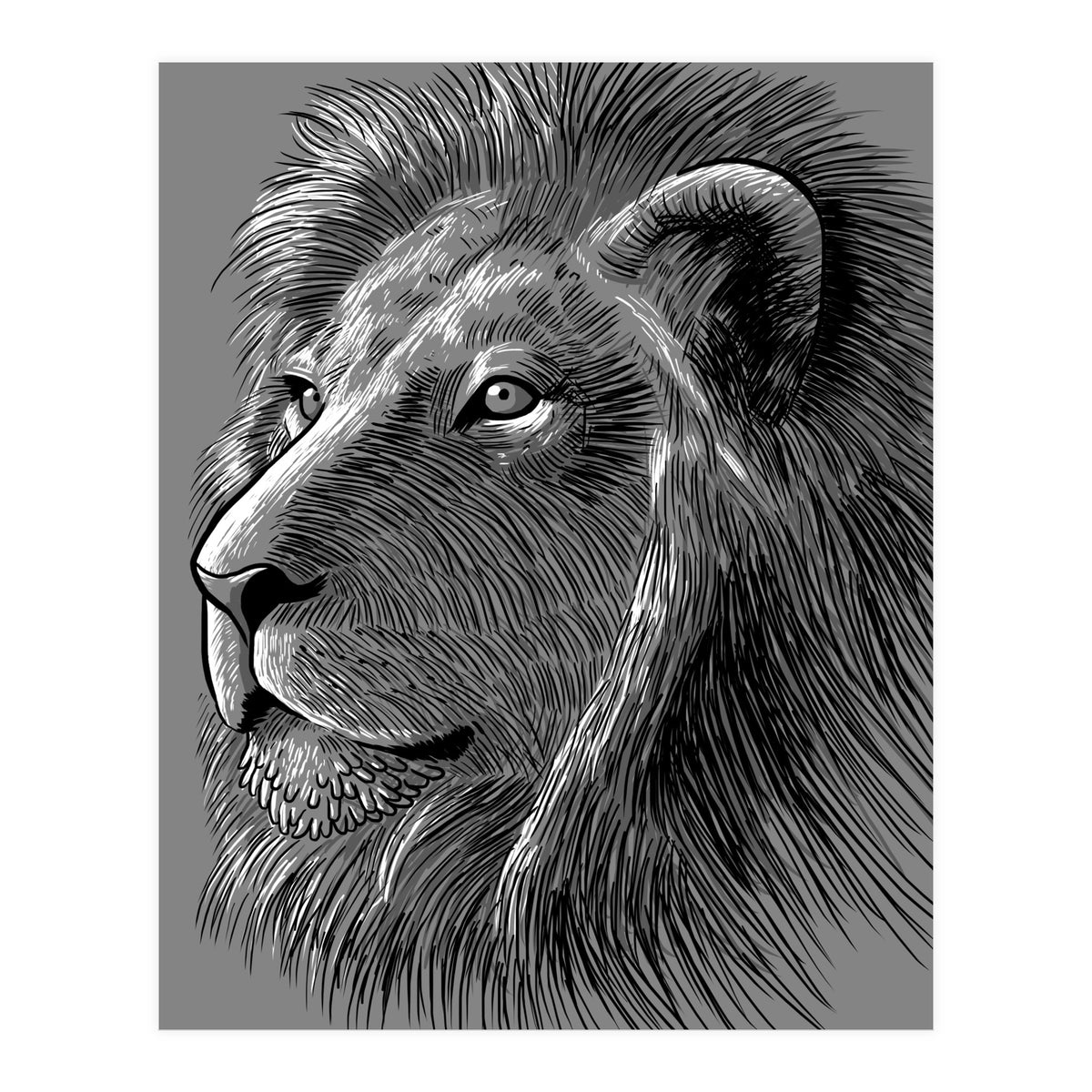 Sketch Lion (Print Only)