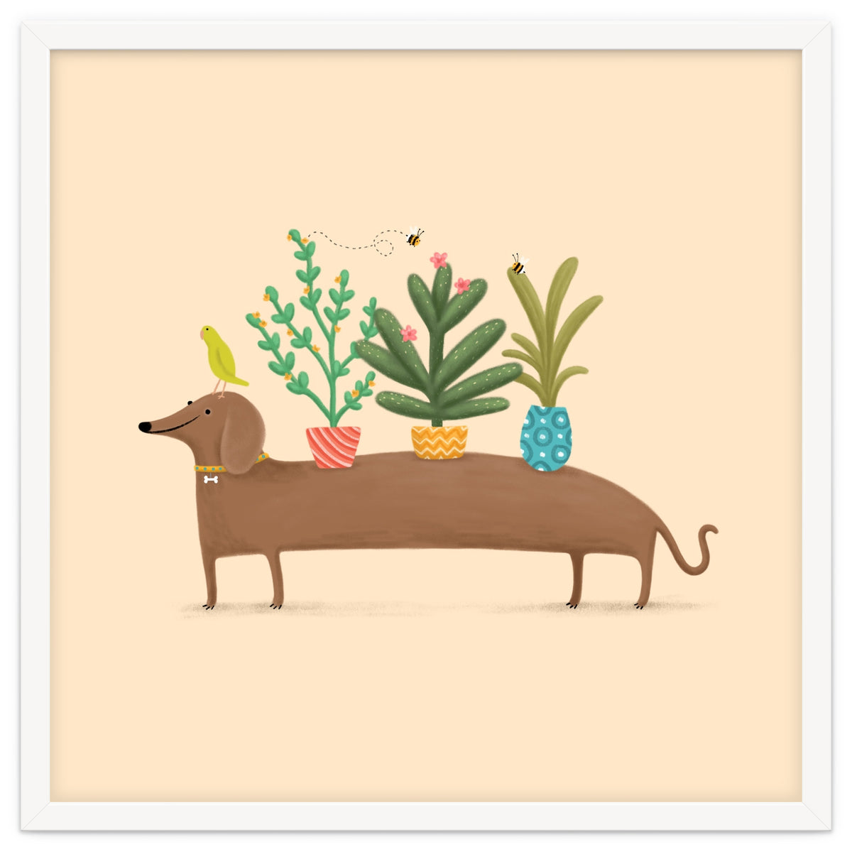 Dachshund And Parrot