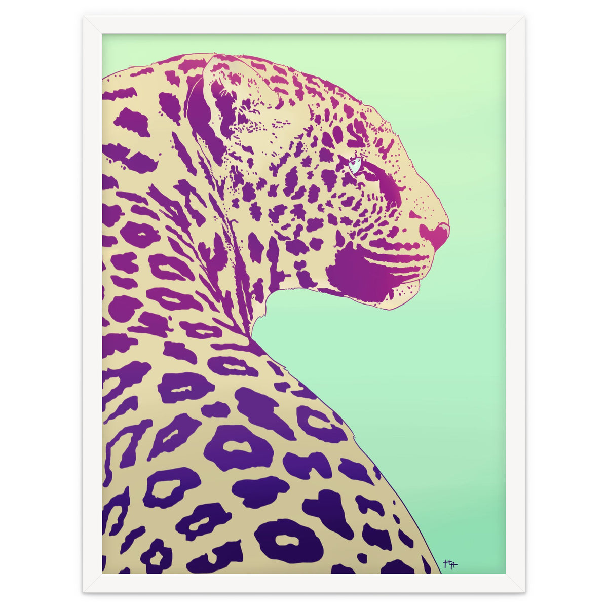 Leopard Under The Sun